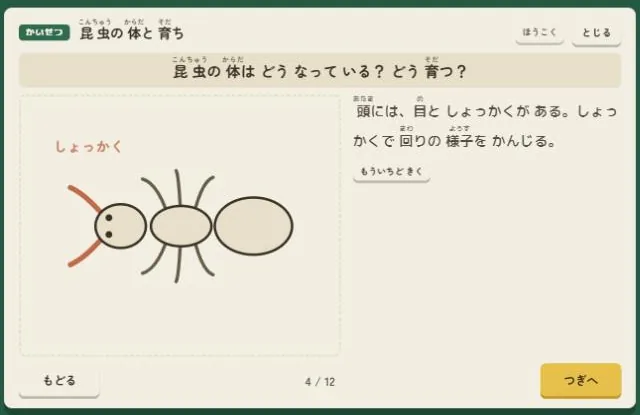 理科「昆虫の体と育ち」の解説。アリの図と説明が並び、声でも読み上げる